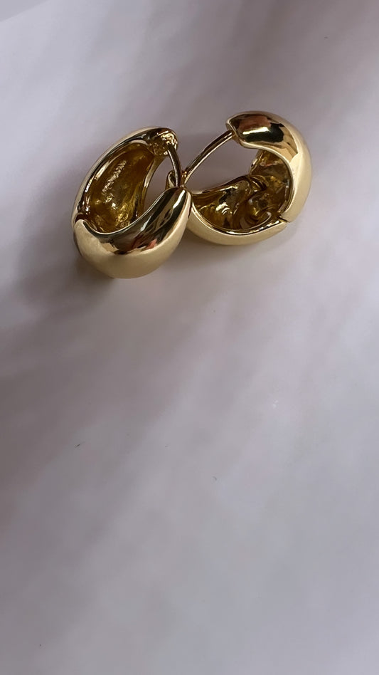 Round hooped earrings